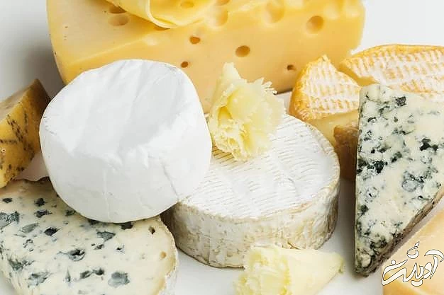 تاریخ روز جهانی پنیر روز جهانی پنیر